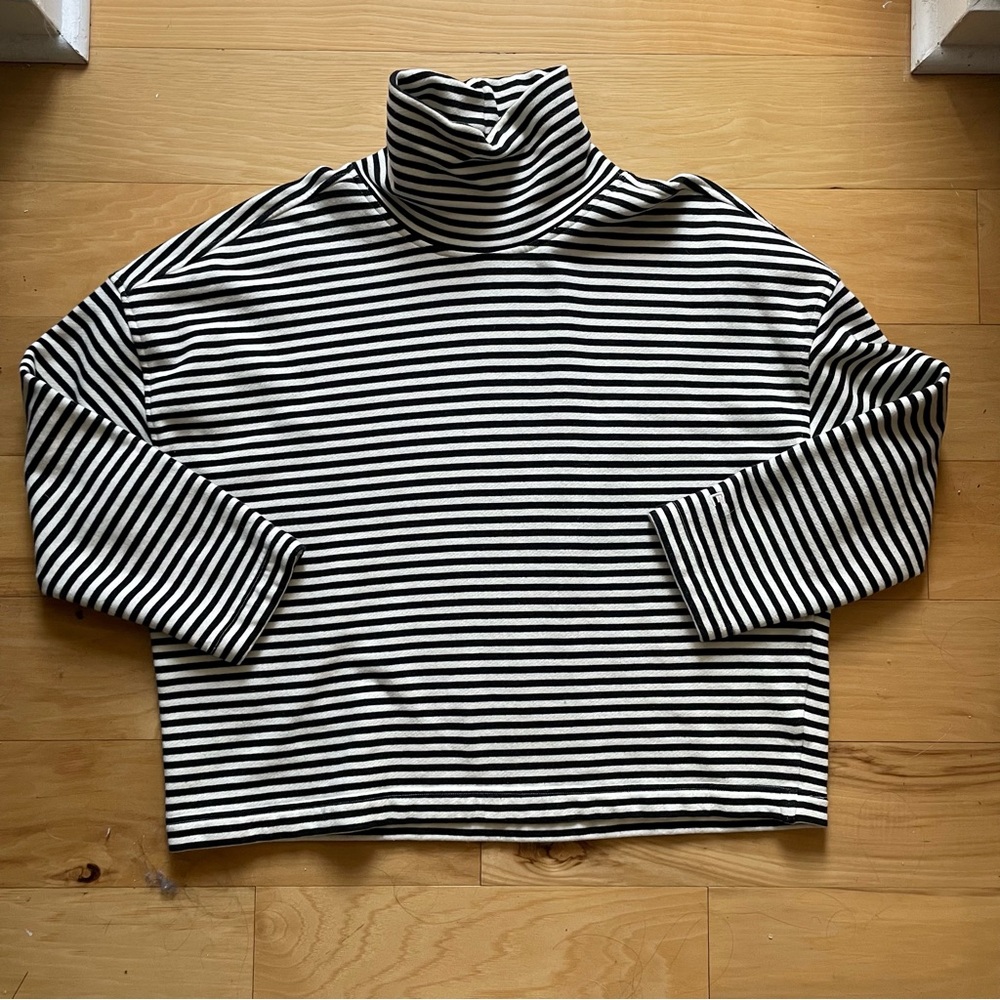 Everlane Boxy Mockneck Sweatshirt